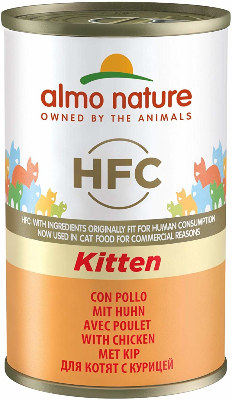 La meilleure nourriture pour chaton (croquettes, nourriture humide et friandises) mister chat