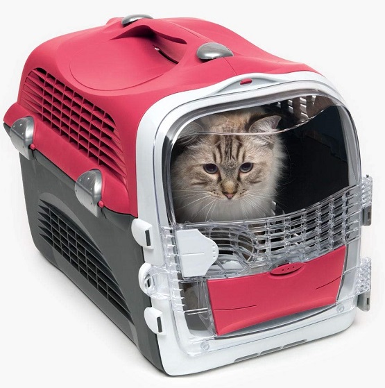 Les 9 meilleurs accessoires de transport pour chat (caisses, paniers et sacs) mister chat