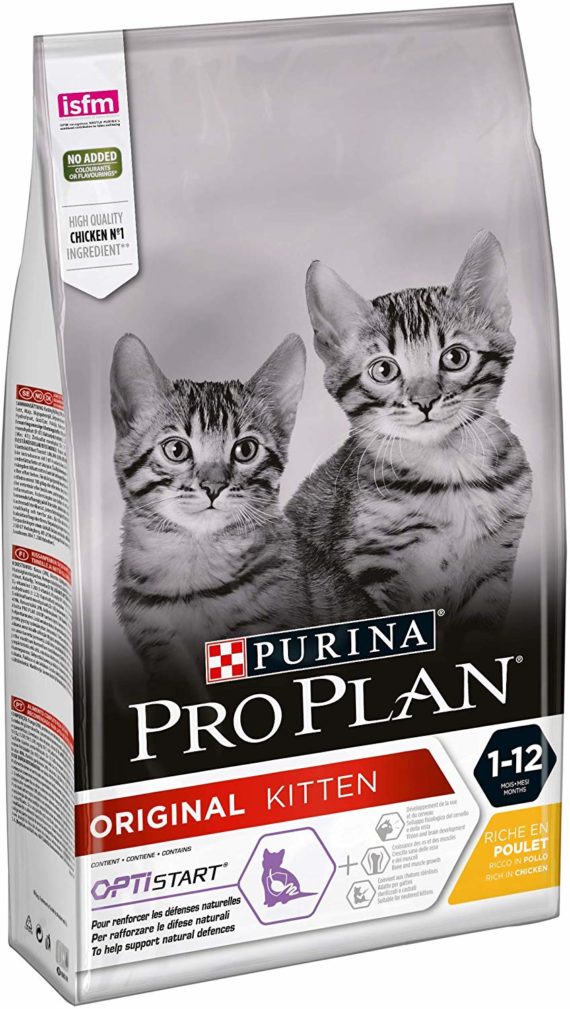 La meilleure nourriture pour chaton (croquettes, nourriture humide et friandises) mister chat
