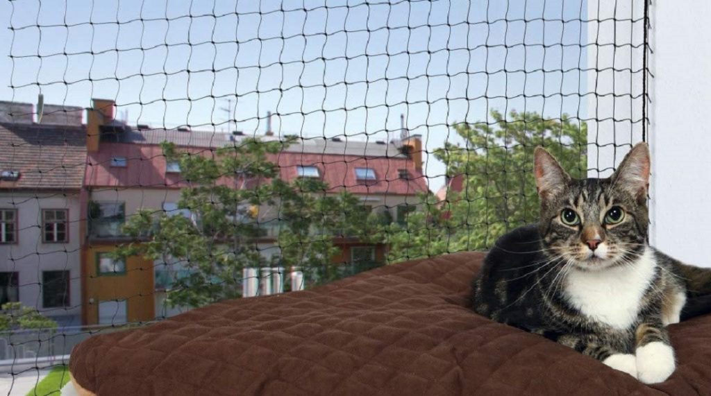Les 5 meilleurs filets de protection pour chat (balcon et fenêtre) mister chat