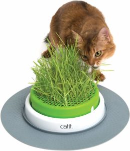 Jardinière d'herbe à chat Catit Senses 2.0