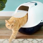 Les 10 meilleures maisons de toilette pour chat (avec et sans filtre)