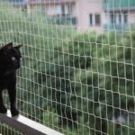 Les 5 meilleurs filets de protection pour chat (balcon et fenêtre)