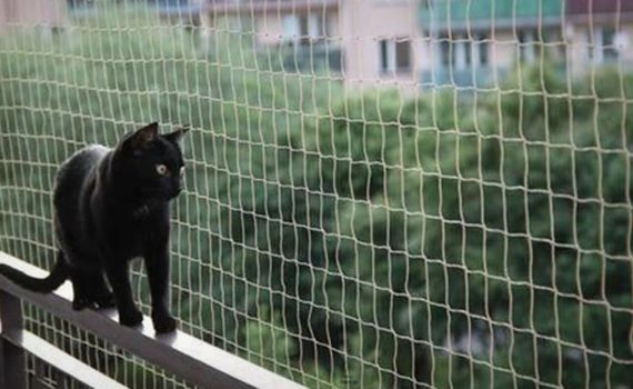 Les 5 meilleurs filets de protection pour chat (balcon et fenêtre)