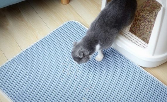 Les 5 Meilleurs Tapis A Litiere Pour Chat Mister Chat