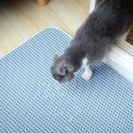 Les 5 meilleurs tapis à litière pour chat