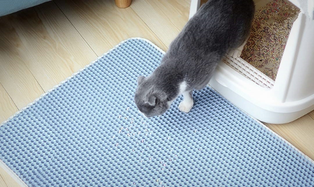 Les 5 meilleurs tapis à litière pour chat