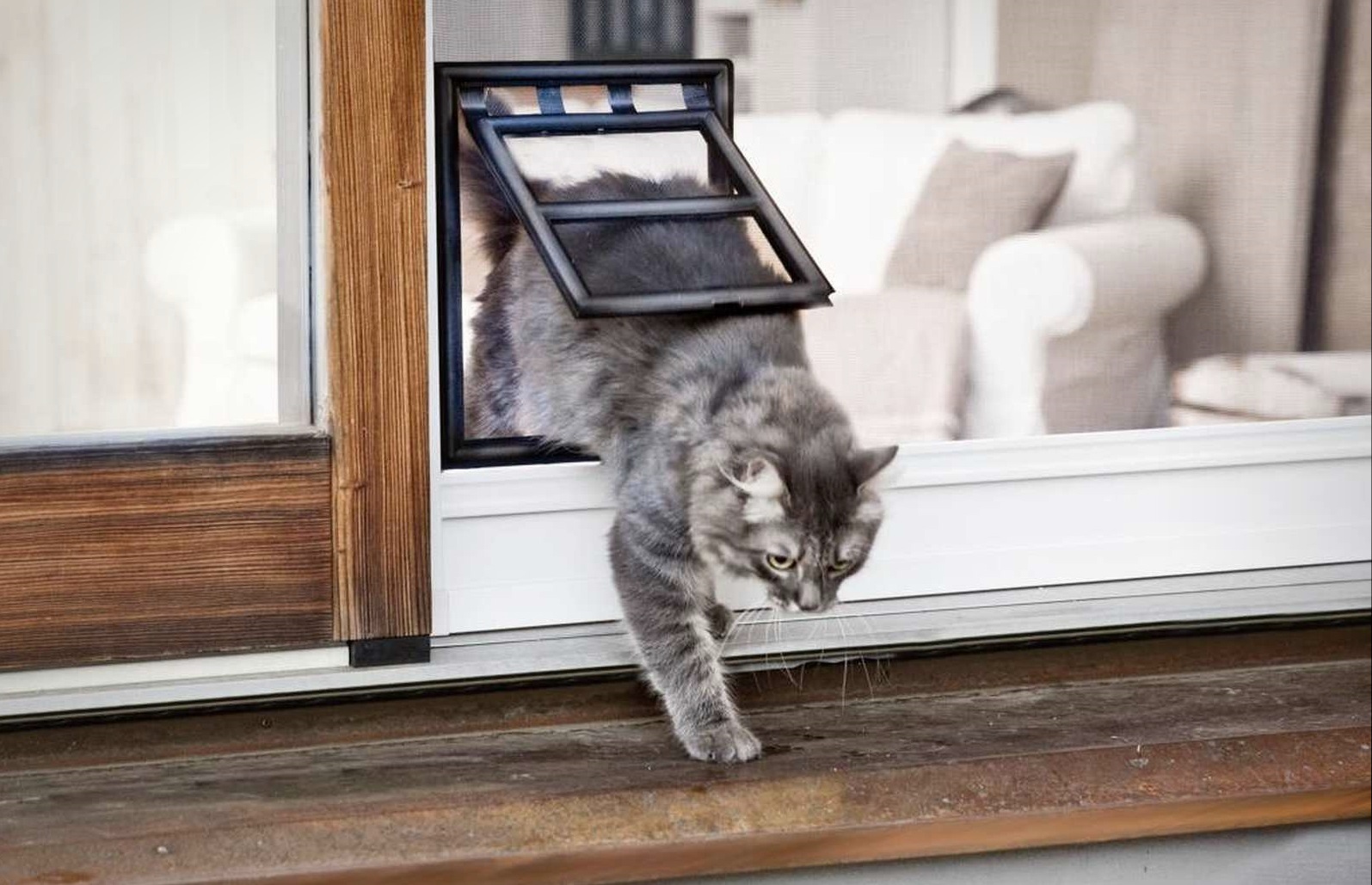 Filet de balcon anti morsures pour chat : moyen modèle