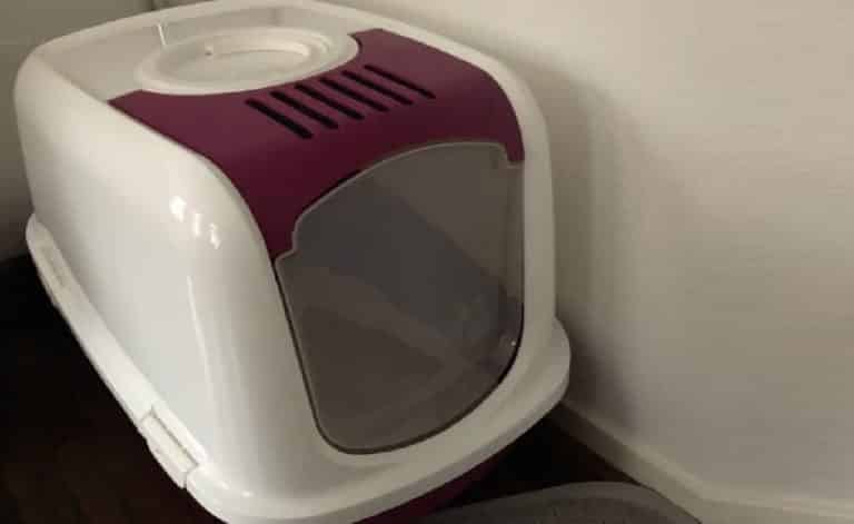 Les 10 meilleures maisons de toilette pour chat (avec et sans filtre