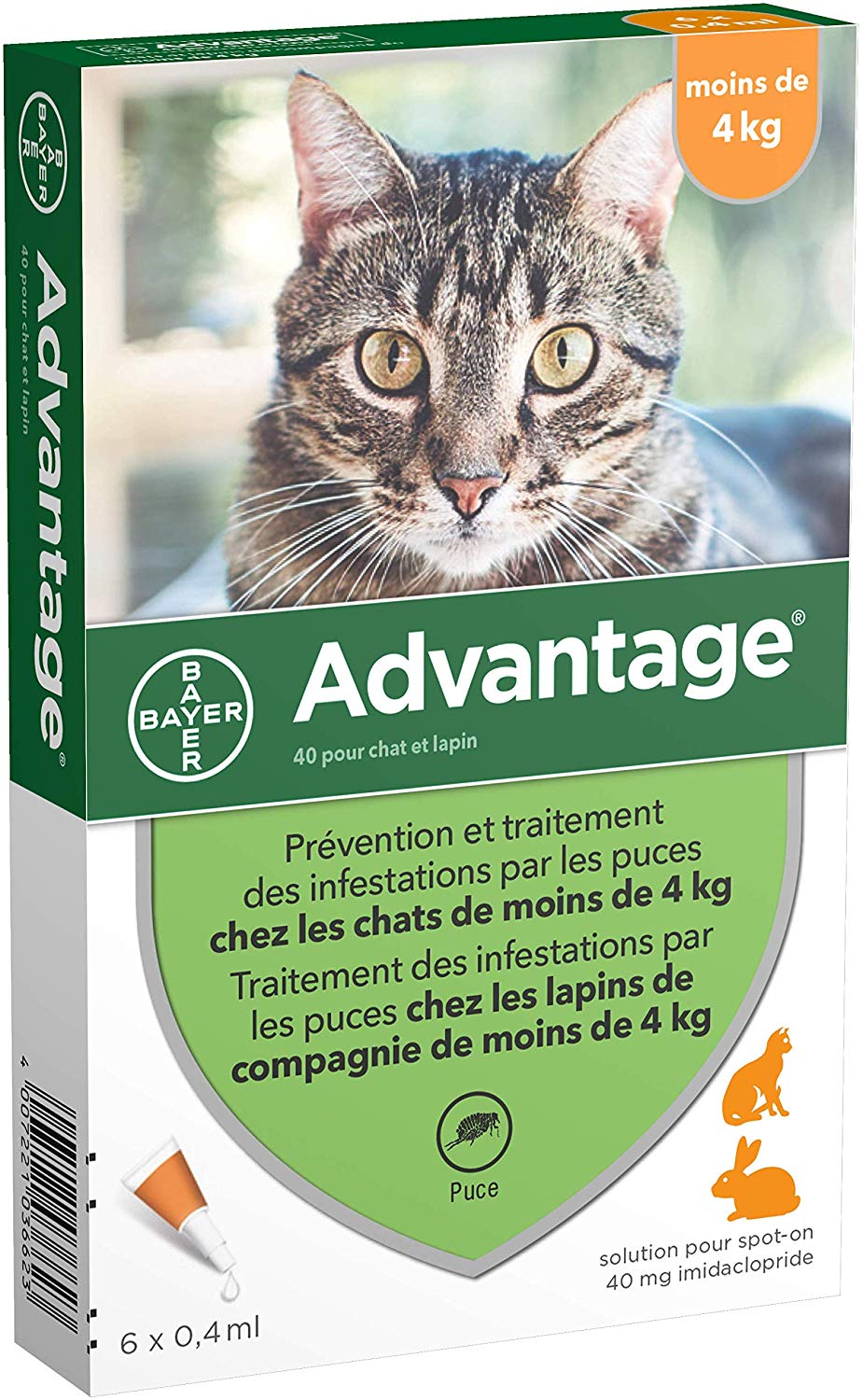 chat allergie produit anti puce