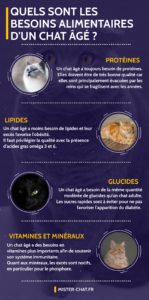 quels sont les besoins alimentaires d'un chat âgé - infographie